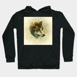 Wolf portrait Hoodie